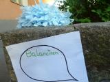 bild_4